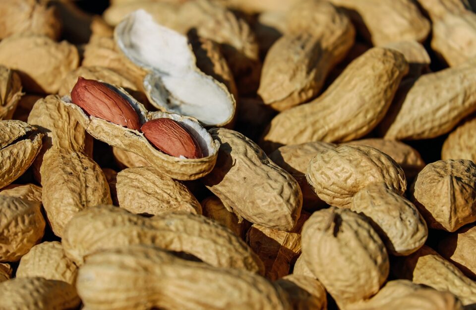peanut research