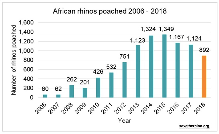 rhino poaching