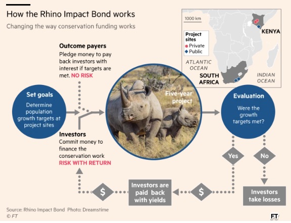 rhino conservation and sustainability projects