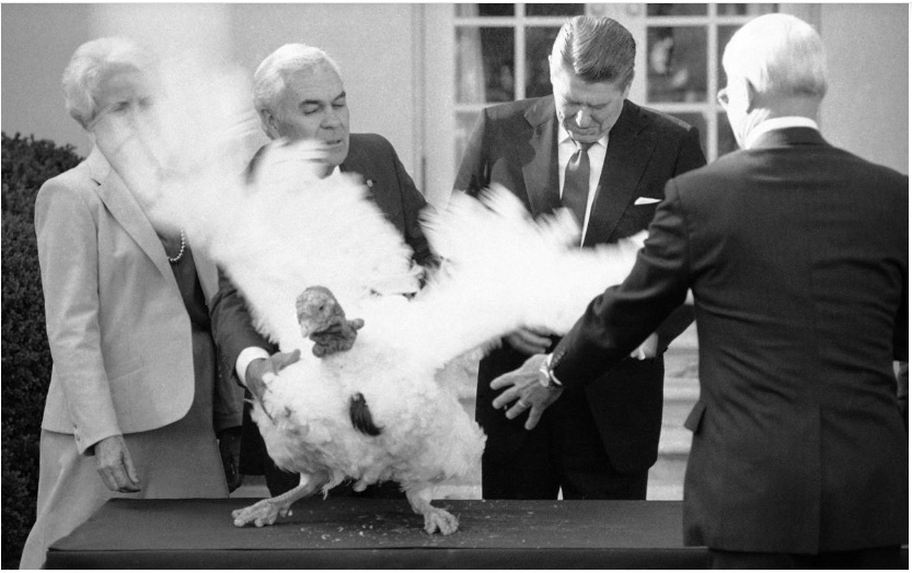 Thanksgiving economics