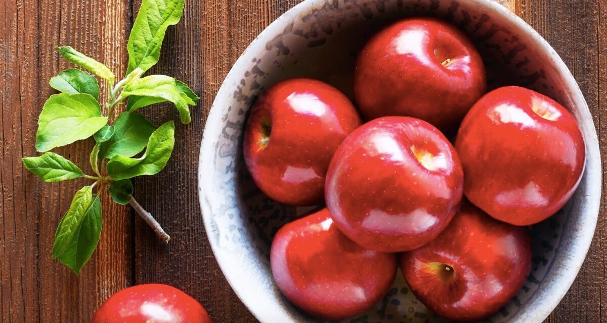 developing Cosmic Crisp apples