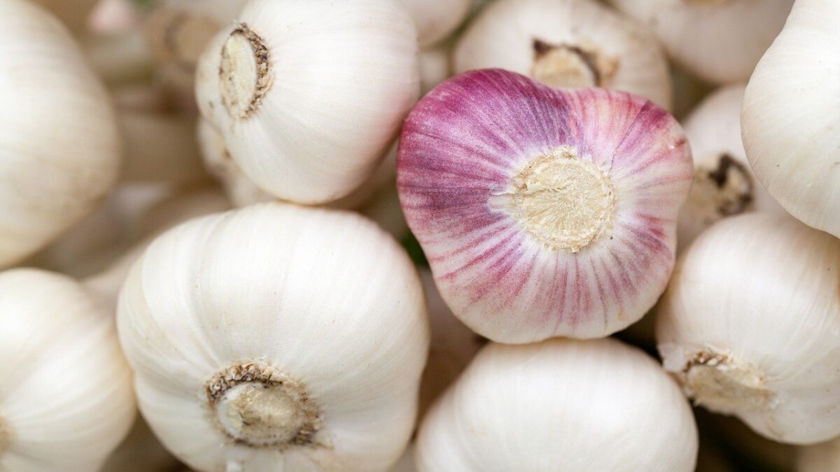 Weekly Economic News Roundup and coronavirus impact on garlic