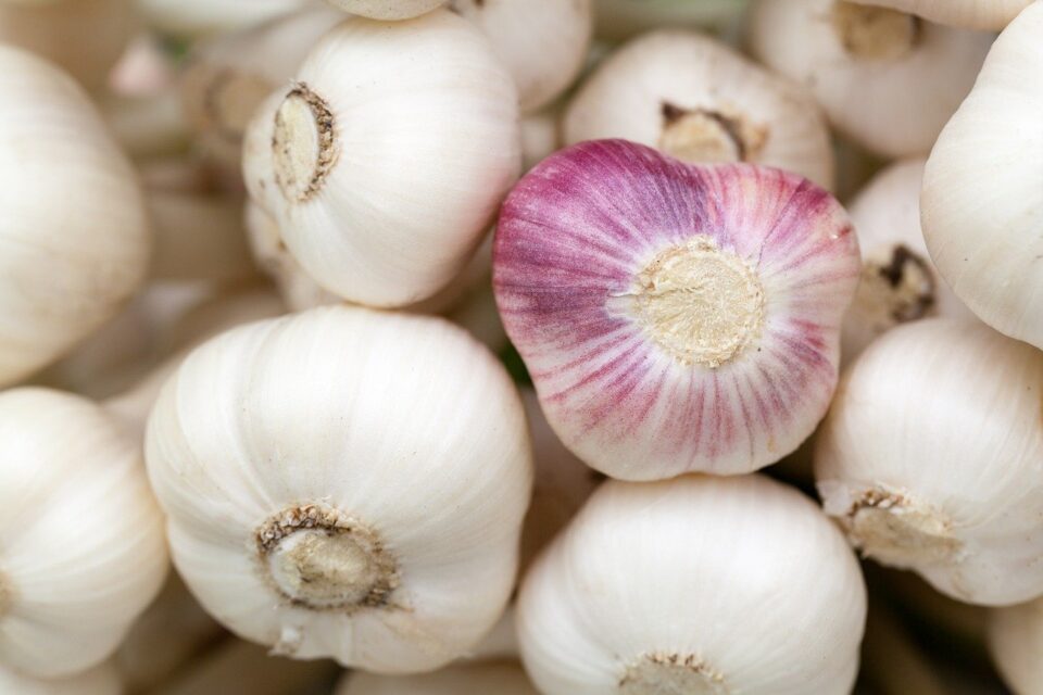 Weekly Economic News Roundup and coronavirus impact on garlic