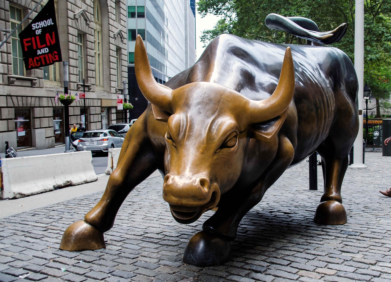 investing insight