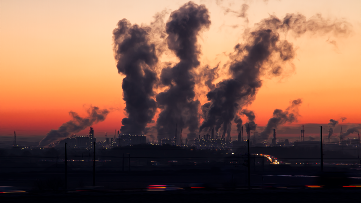 cost of climate policy