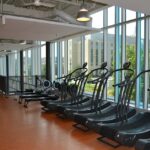 exercise nudges