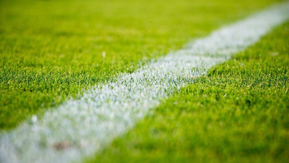 Weekly Economic News Roundup and sports viewership