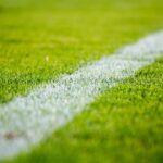 Weekly Economic News Roundup and sports viewership