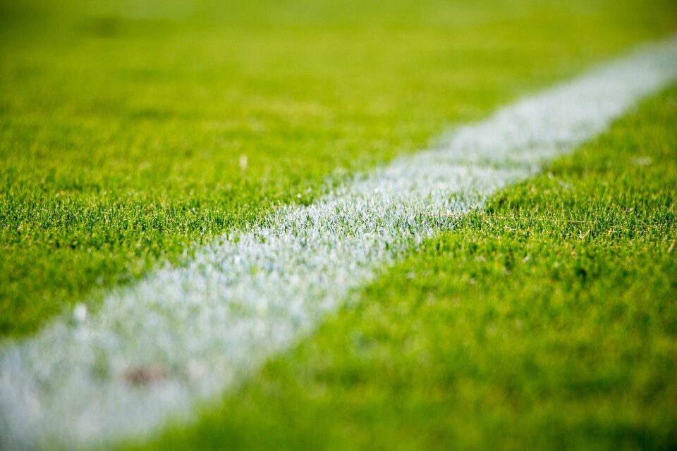 Weekly Economic News Roundup and sports viewership