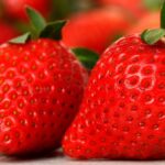 strawberry competition