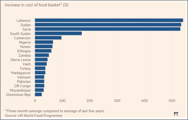 developing nations food price hikes