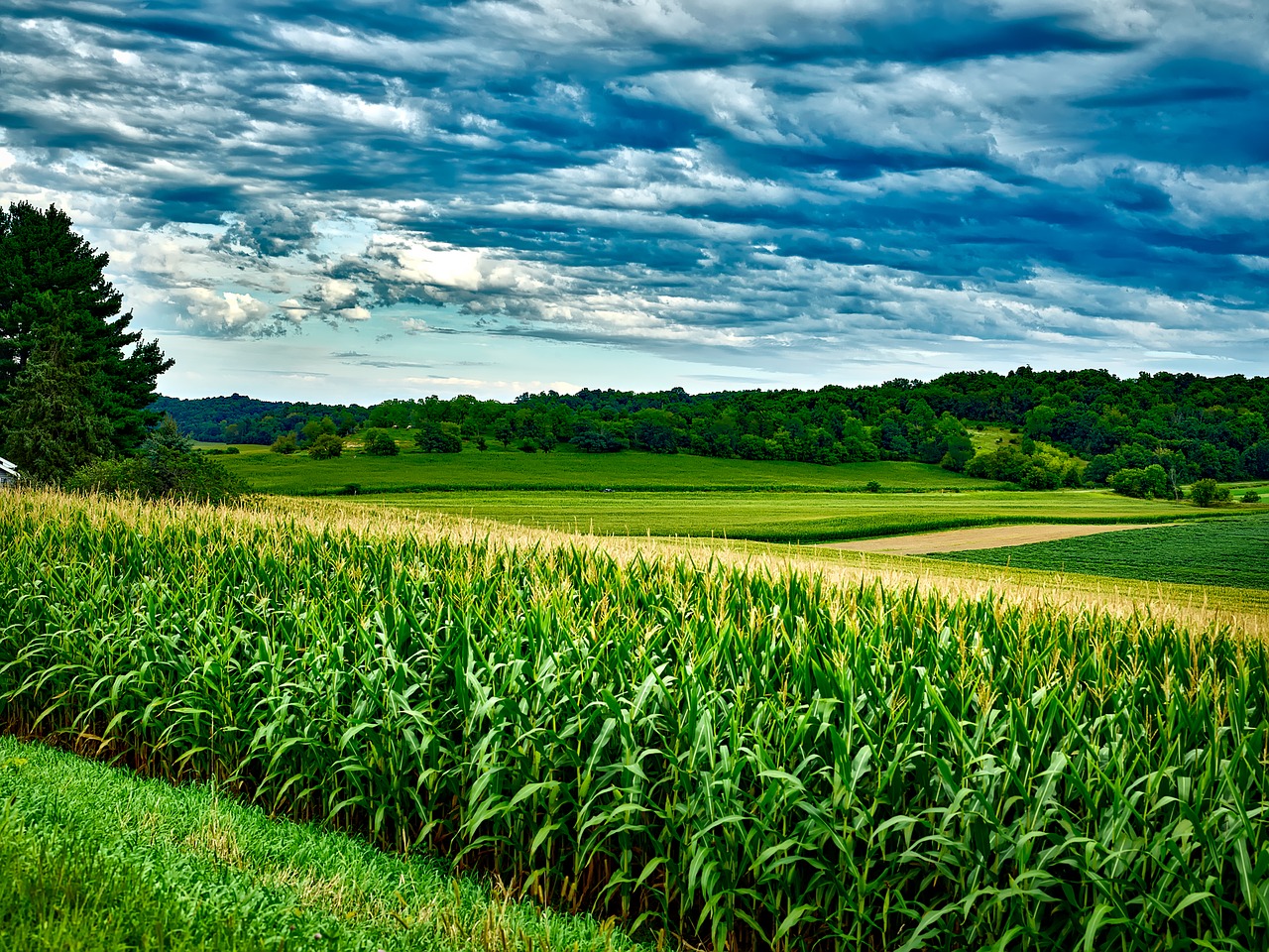 Weekly Economic News Roundup and soybeans