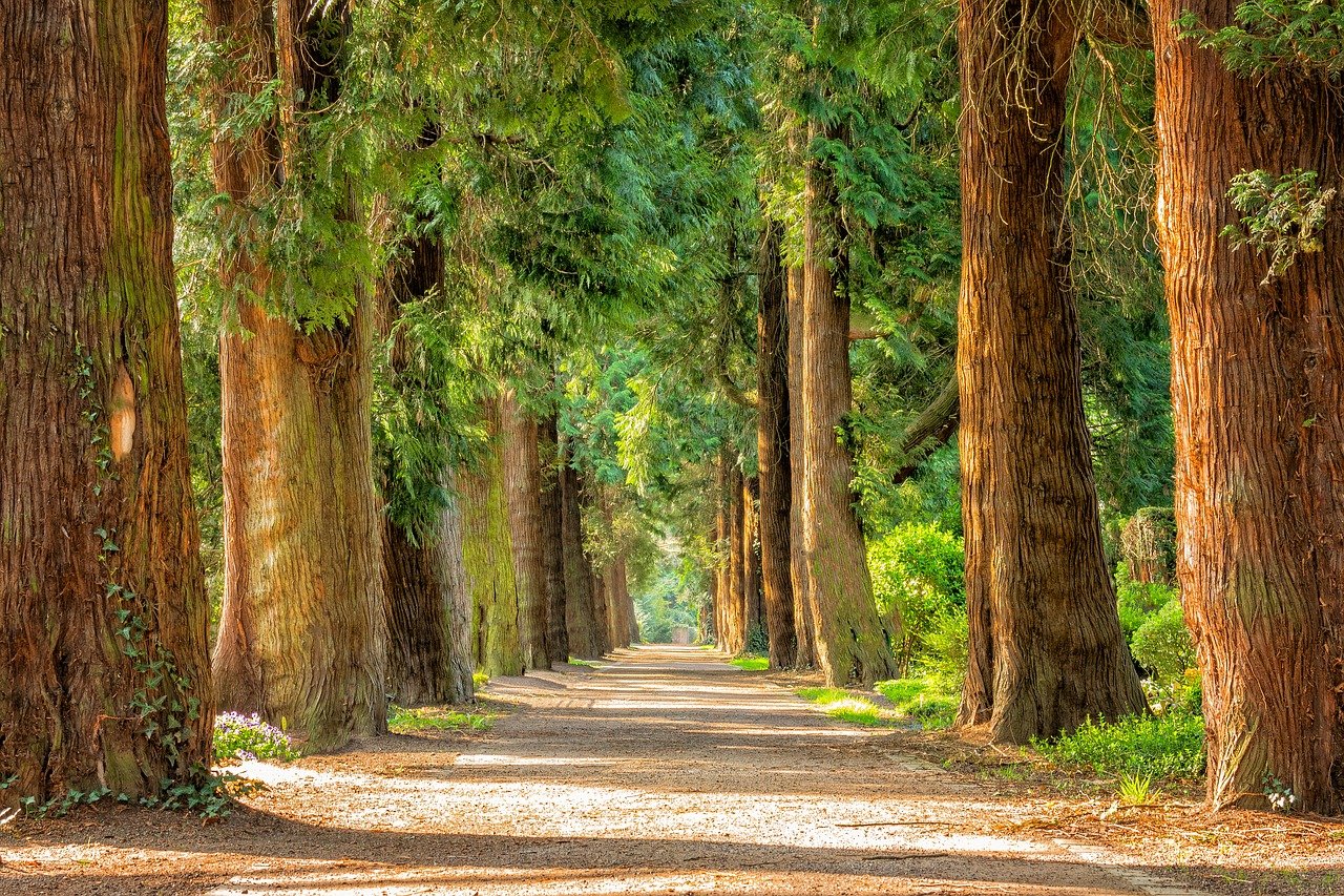 Weekly Economic News Roundup and tree equity