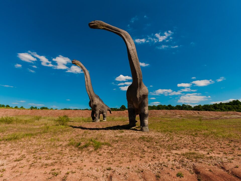 economic news roundup and multi-million dollar dinosaur fossils