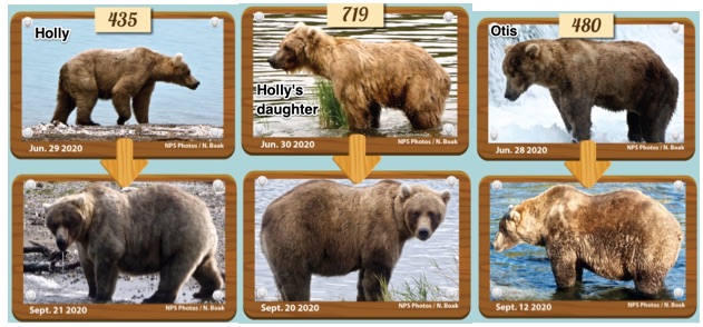 Alaska wilderness