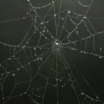 middle income trap Dominican Republic