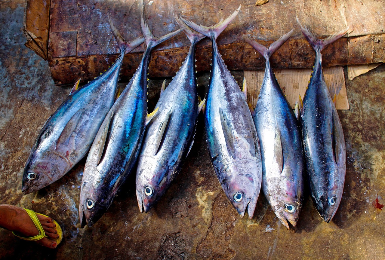 Weekly Economic News Roundup and Subway tuna