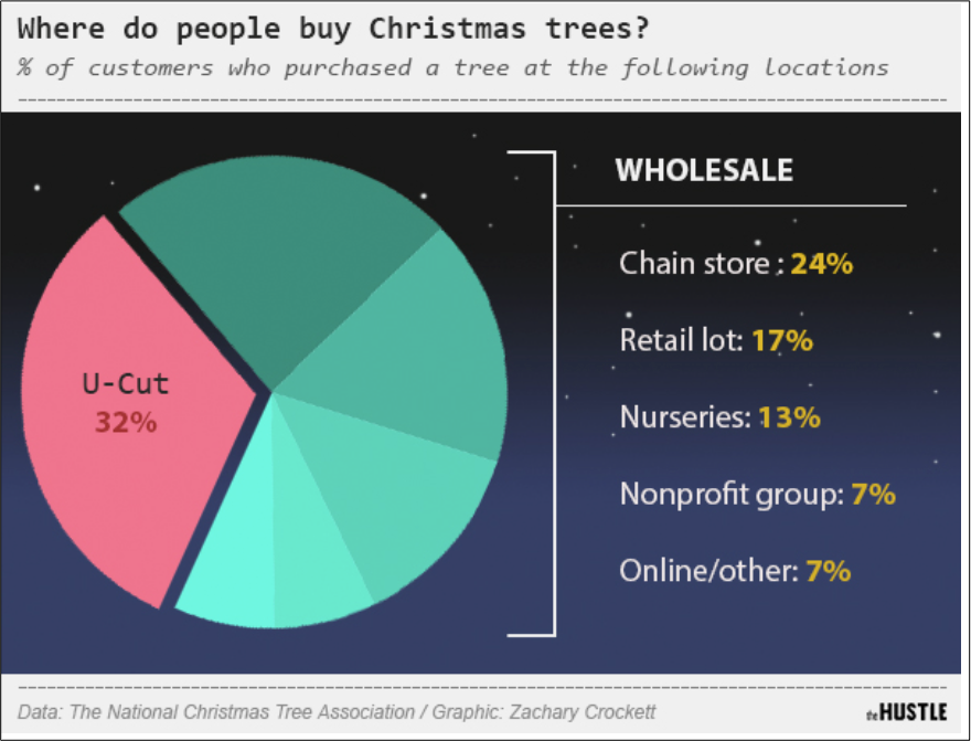 the life of a Christmas tree