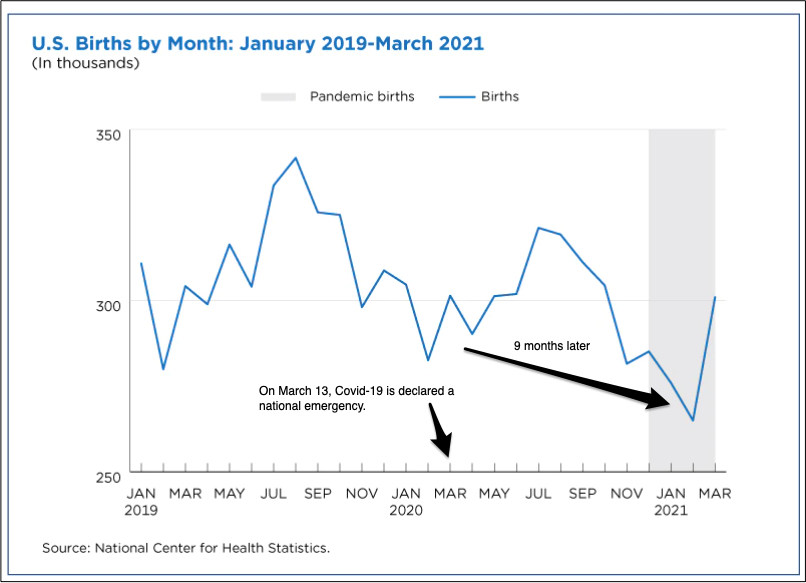 pandemic birth rate