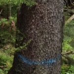 conservation or development