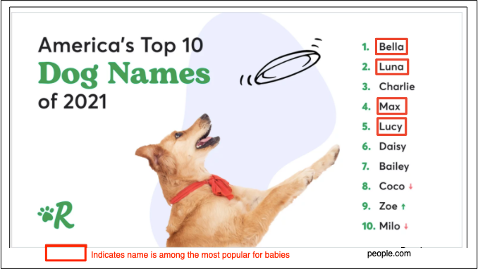 French bulldogs names