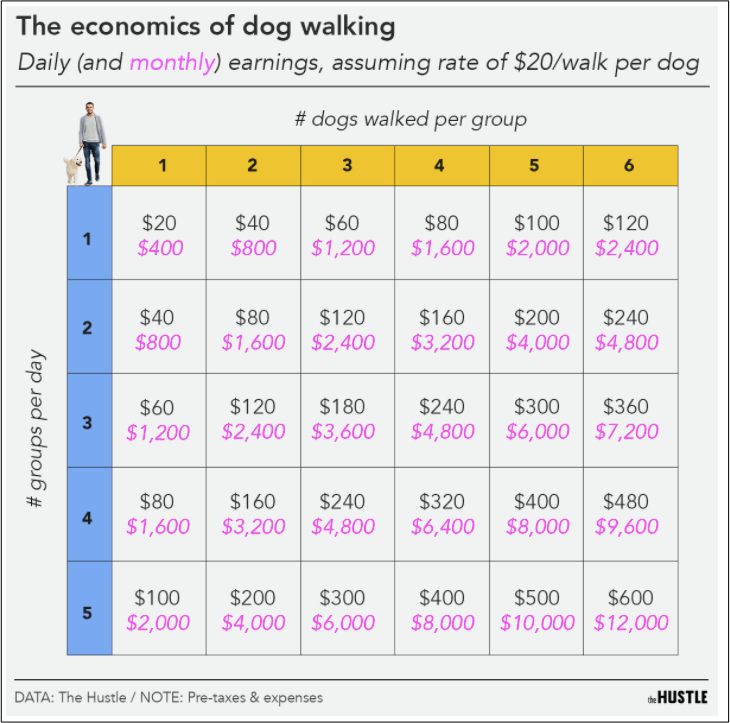 dog walking economics