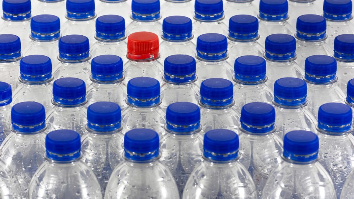 plastics plight