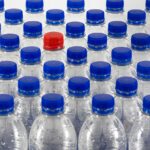 plastics plight