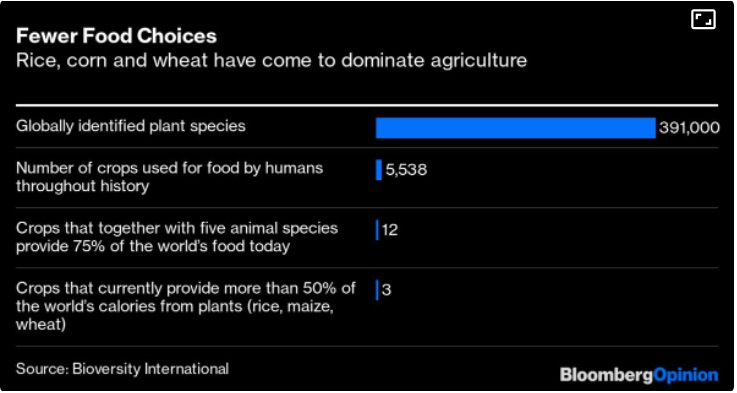 global food supply