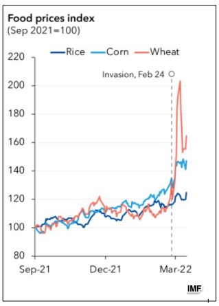 global food supply prices