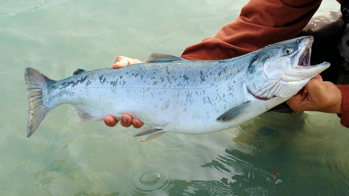 Weekly Economic News Roundup and overfishing