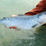 Weekly Economic News Roundup and overfishing