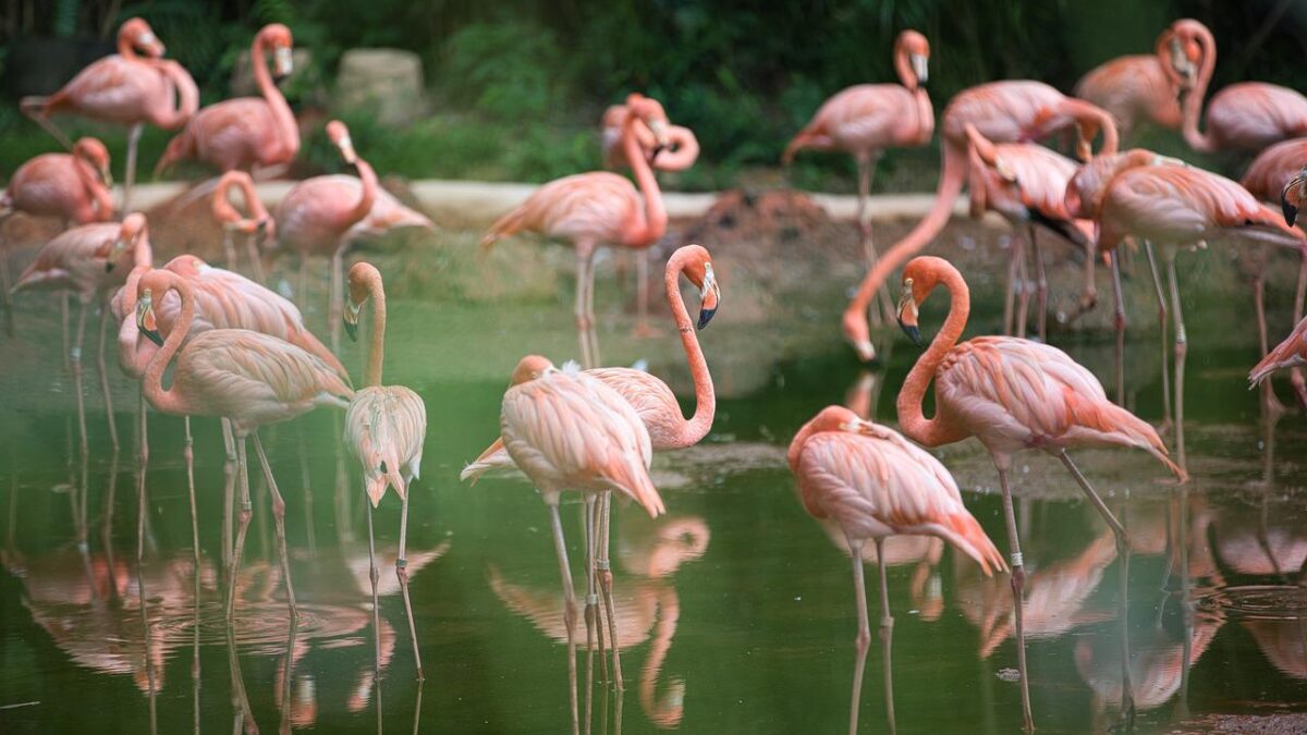 Weekly Economic News Roundup and conservation or development