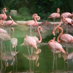 Weekly Economic News Roundup and conservation or development