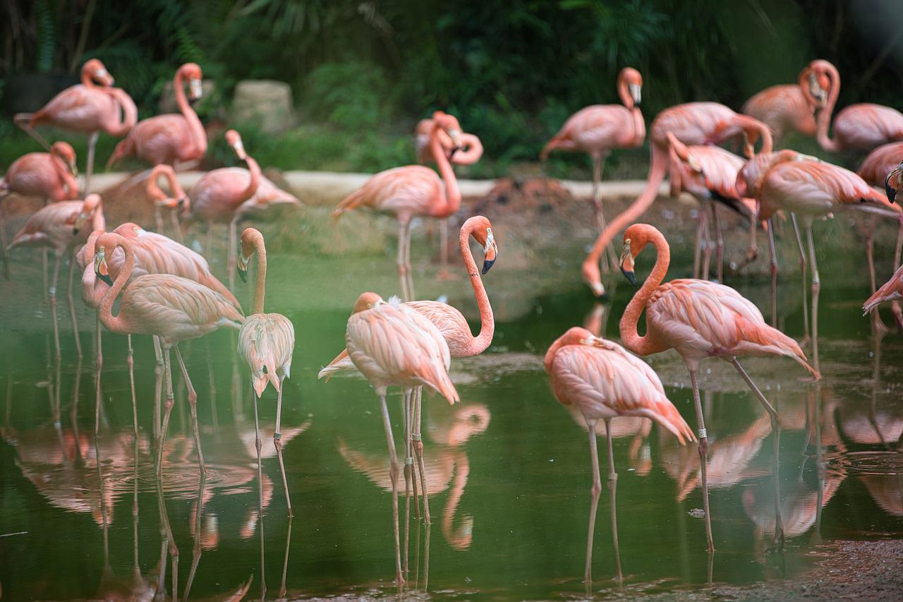 Weekly Economic News Roundup and conservation or development
