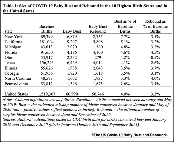 pandemic birth rate