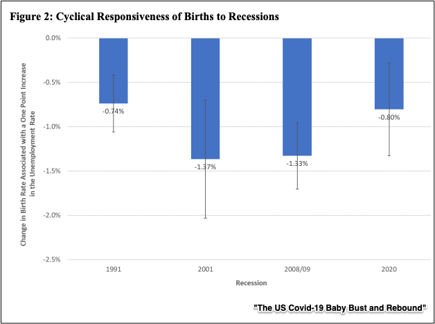 pandemic birth rate