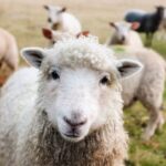Weekly Economic News Roundup and solar power