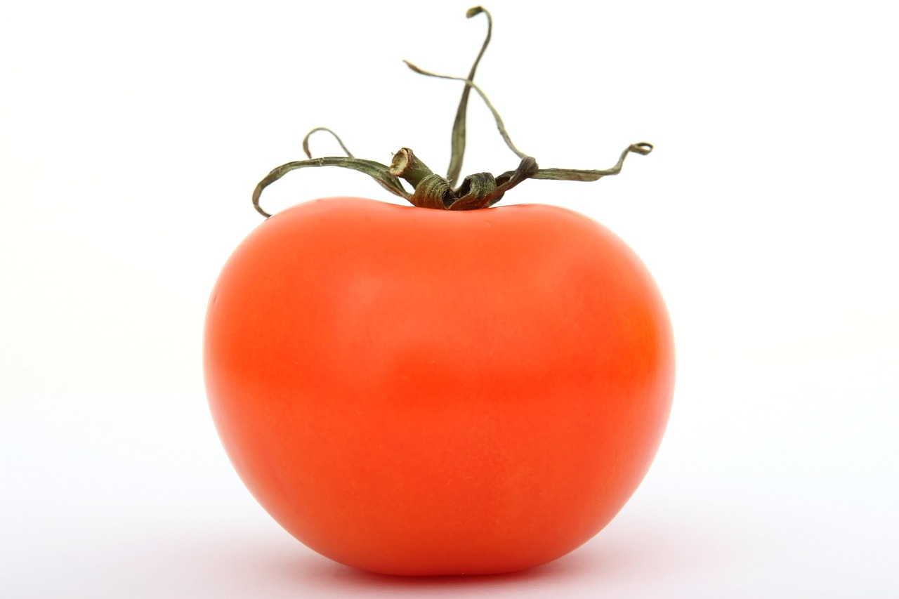 tomato innovation