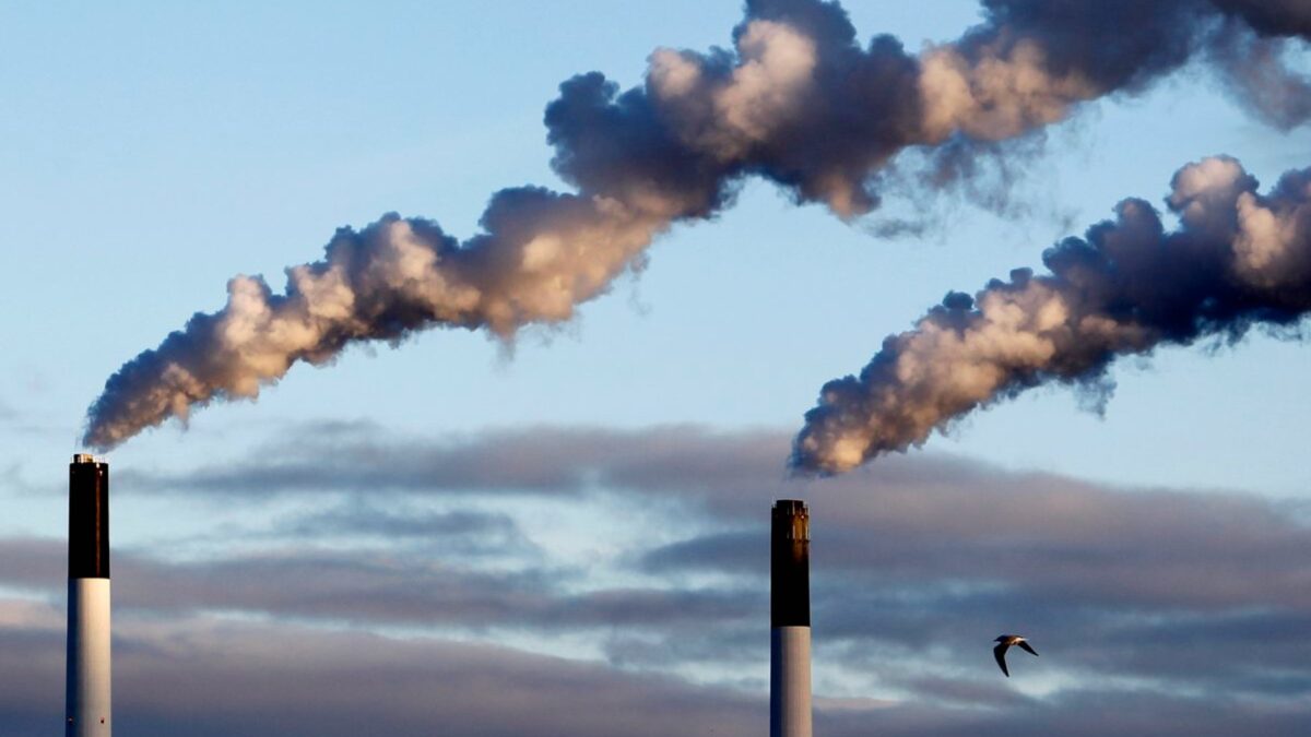 carbon taxes