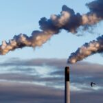 carbon taxes