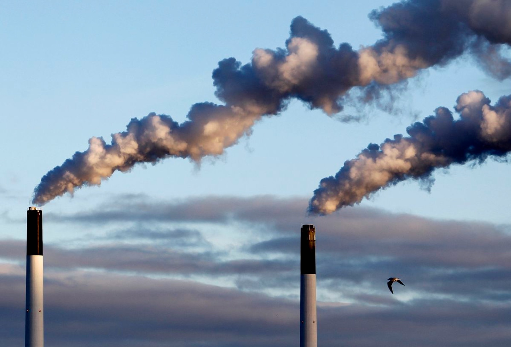 carbon taxes