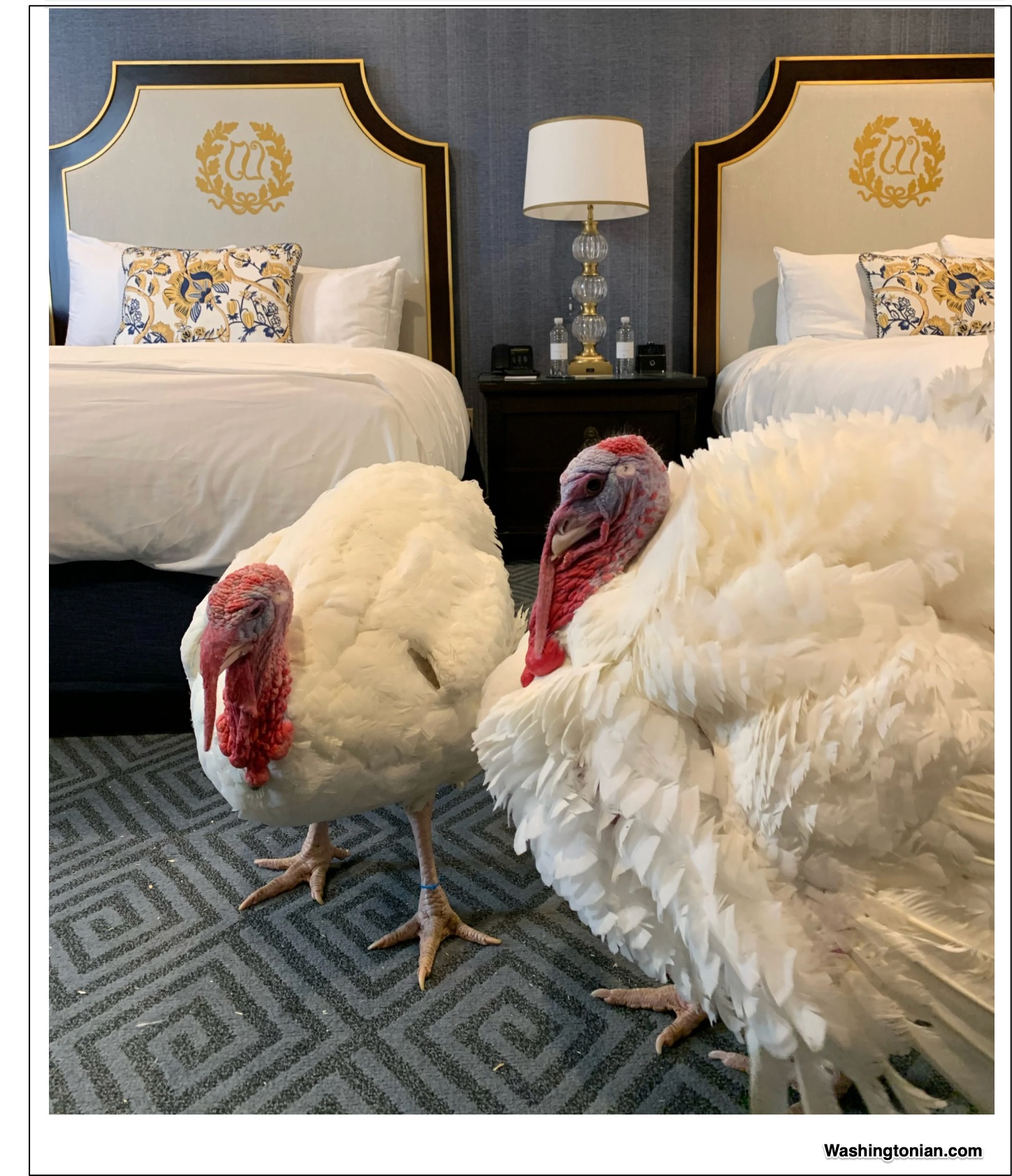 Thanksgiving Economics