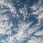 economic tailwinds and headwinds