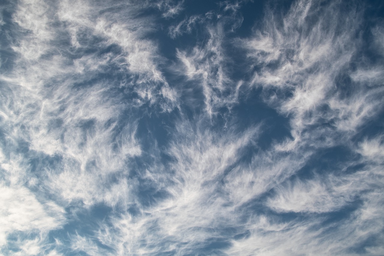 economic tailwinds and headwinds