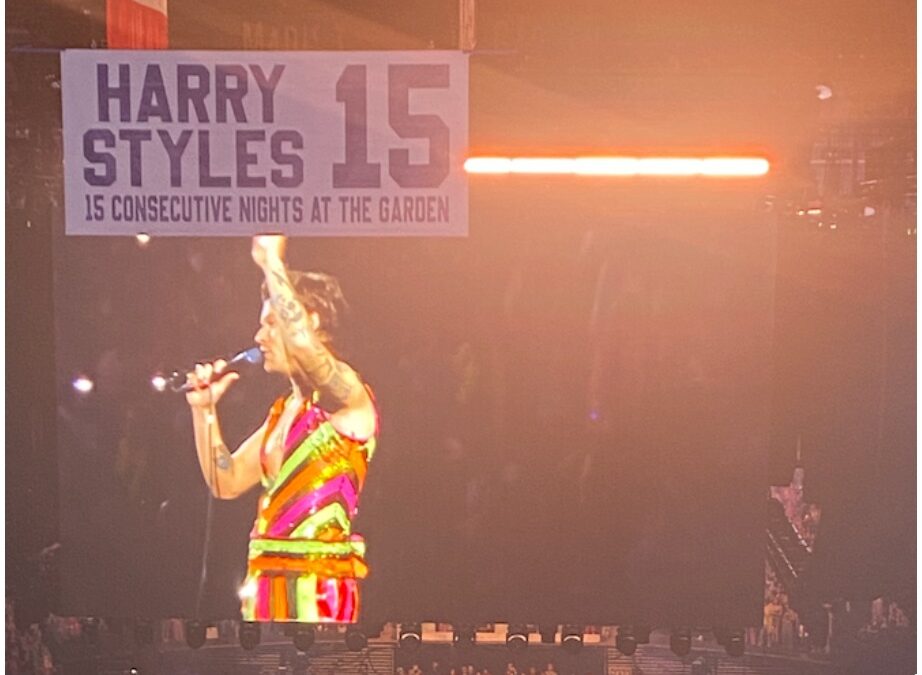 Harry Styles concert costs