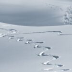 economic news roundup and snow supply problems