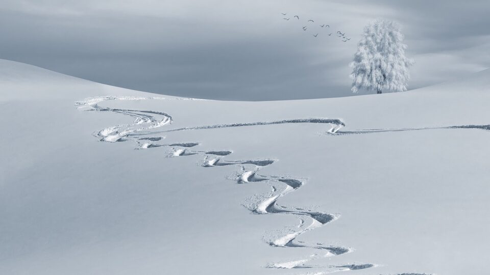 economic news roundup and snow supply problems