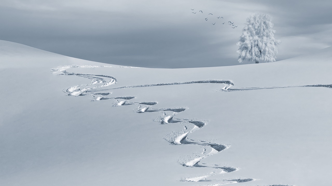 economic news roundup and snow supply problems