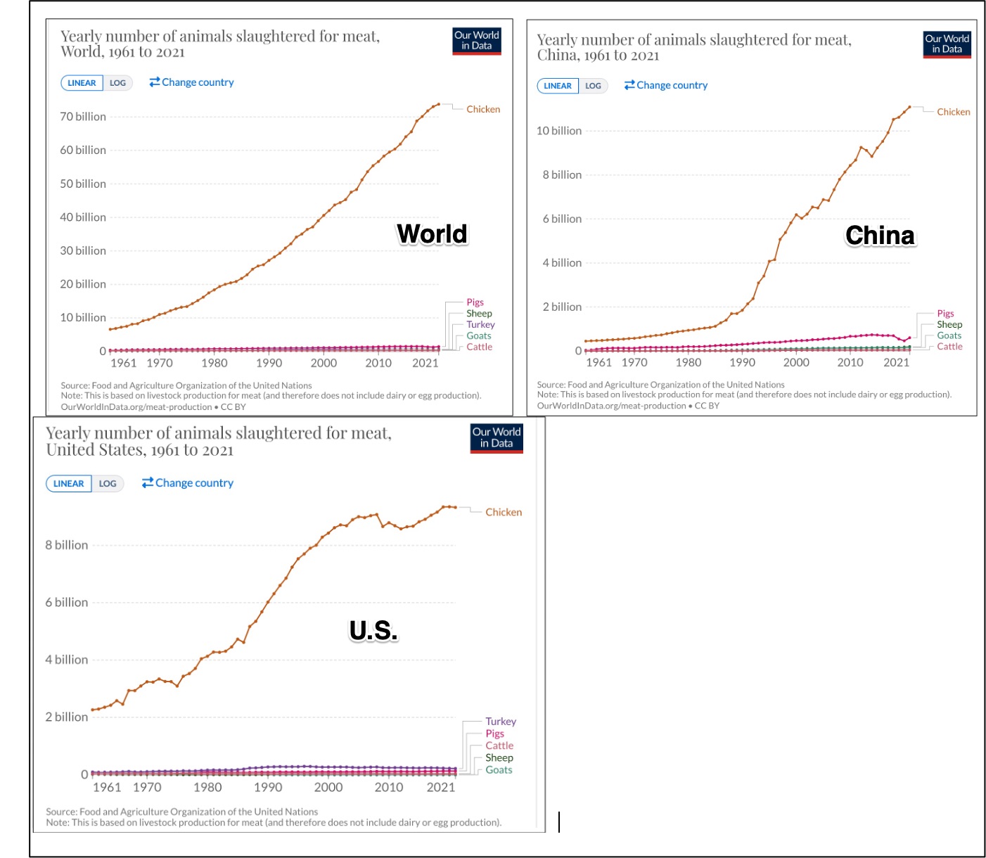 chicken economics